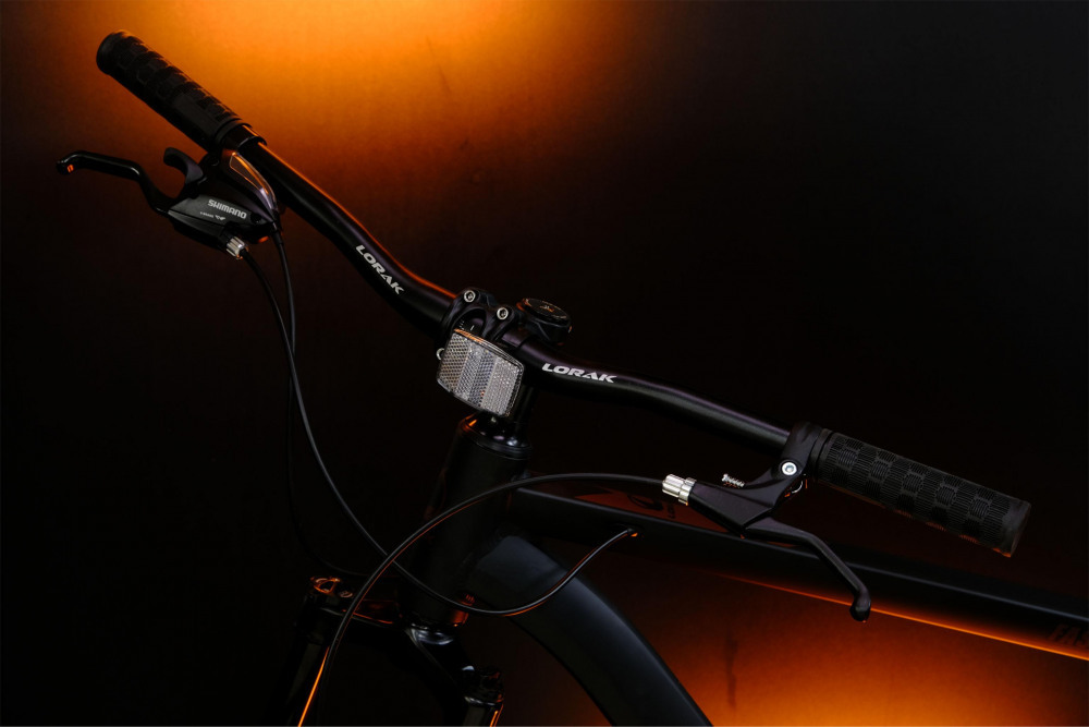 LORAK Fast Brown 29 Матовый Чёрный рама 17 (на рост 165-175)